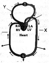 Question diagram