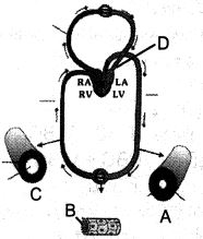 Question diagram