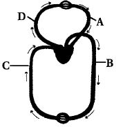 Question diagram