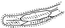 Question diagram
