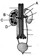 Question diagram
