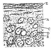 Question diagram