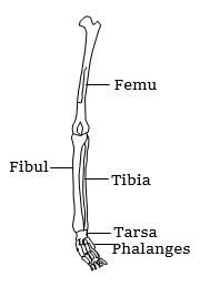 Question diagram