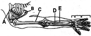 Question diagram