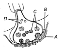 Question diagram