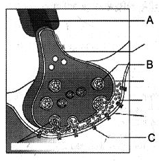 Question diagram