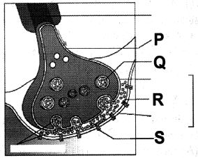 Question diagram