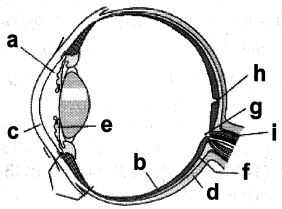Question diagram
