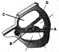 Question diagram