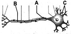Question diagram
