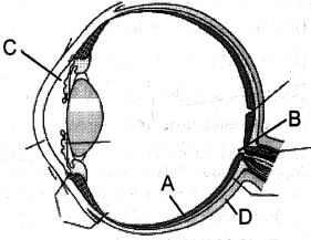 Question diagram