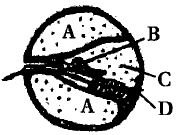 Question diagram