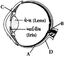 Question diagram