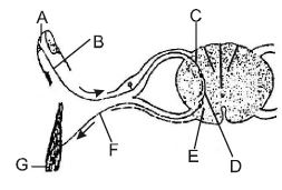 Question diagram