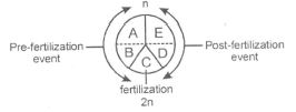 Question diagram