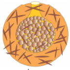 Question diagram