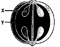 Question diagram