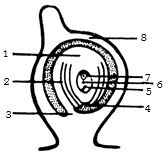 Question diagram