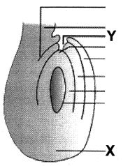 Question diagram