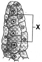 Question diagram