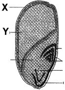 Question diagram