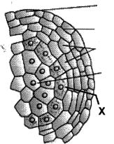 Question diagram