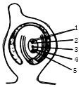 Question diagram
