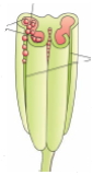 Question diagram