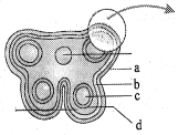 Question diagram