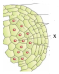 Question diagram