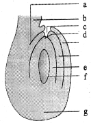 Question diagram