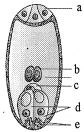 Question diagram