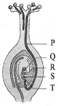 Question diagram