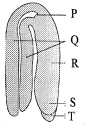 Question diagram