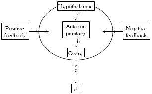 Question diagram
