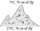 Question diagram