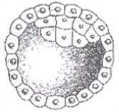 Question diagram