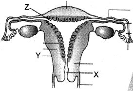 Question diagram