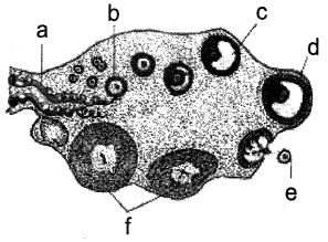 Question diagram