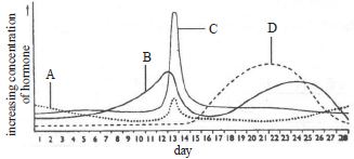 Question diagram