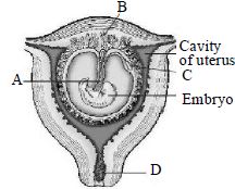Question diagram