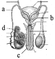 Question diagram