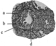 Question diagram