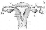 Question diagram