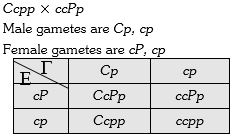 Solution diagram