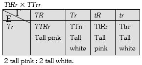 Solution diagram