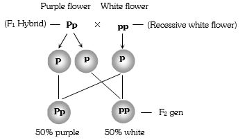 Solution diagram