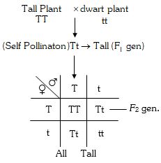 Solution diagram