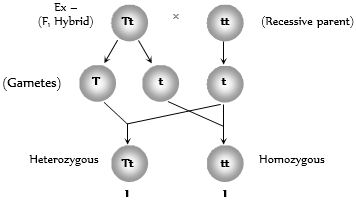 Solution diagram