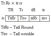 Solution diagram